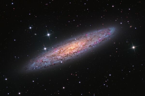 Снимок NGC 253 - Starbust Galaxy in Sculptor канадского фотографа Terry Robison из категории Galaxies, попавший в шортлист конкурса Insight Investment Astronomy Photographer of the Year 2020  - Sputnik Кыргызстан