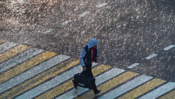 Прохожий переходит через дорогу во время дождя. Архивное фото - Sputnik Кыргызстан