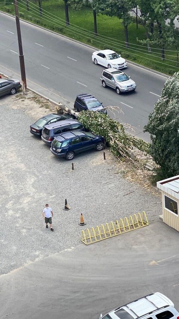 Бишкектин чок ортосунда терек үч автоунааны басып калды. Видео - Sputnik Кыргызстан