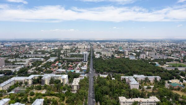 Вид на Бишкек с дрона. Архивное фото - Sputnik Кыргызстан