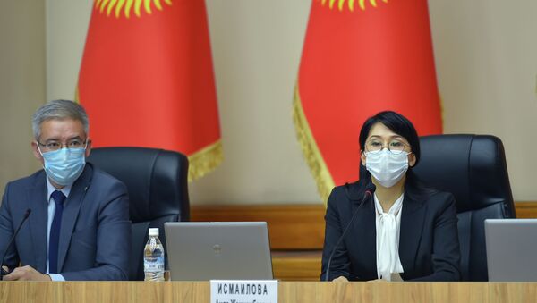 Вице-премьерлер ыктыярчылар менен жолукту - Sputnik Кыргызстан