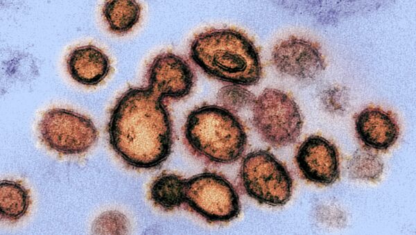 Вирус SARS-CoV-2 вызывающий COVID-19 под микроскопом. Архивное фото - Sputnik Кыргызстан