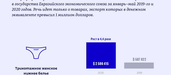 Товары из Кыргызстана,  экспорт которых в страны ЕАЭС вырос в 2020 году - Sputnik Кыргызстан
