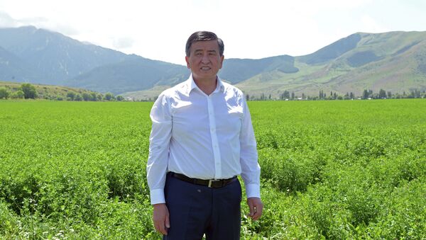 Президент КР Сооронбай Жээнбеков во время посещения фермерского хозяйства. Архивное фото - Sputnik Кыргызстан
