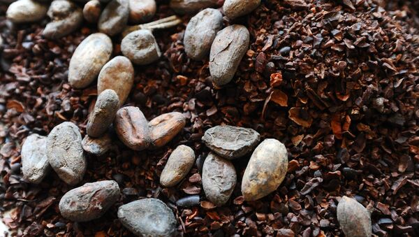 Какао бобы и какао-крупа. Архивное фото - Sputnik Кыргызстан