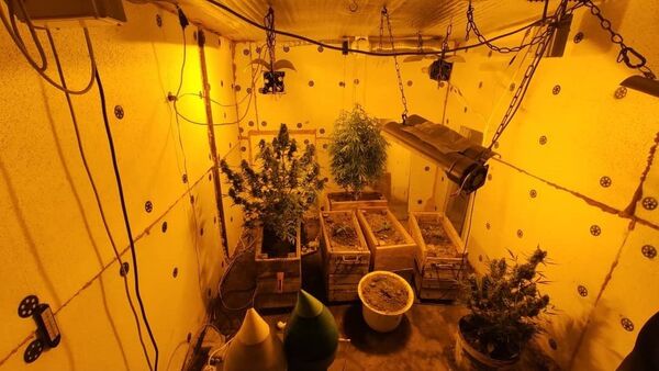 Лаборатория по культивированию наркосодержащих растений - Sputnik Кыргызстан