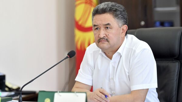 Бывший первый вице-премьер-министр Алмазбек Баатырбеков  - Sputnik Кыргызстан