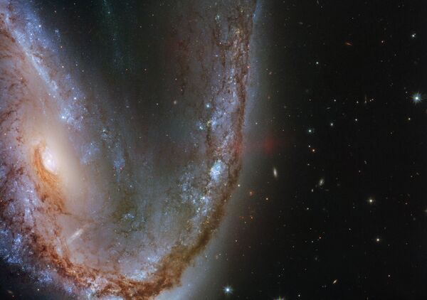 Искаженная галактика галактика NGC 2442 в созвездии Летучая Рыба - Sputnik Кыргызстан
