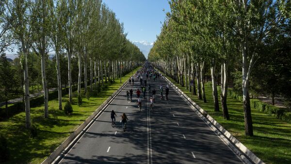 Первый в 2020 году велопробег в Бишкеке - Sputnik Кыргызстан