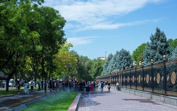 Протестующие утверждают, что если примут закон об электронных торгах, то Фонд управления госимуществом сможет выставить на онлайн-аукцион каждый бутик - Sputnik Кыргызстан