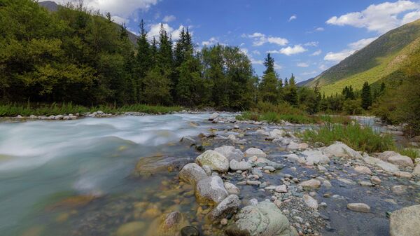 Река Ала-Арча в государственном парке Ала-Арча. Архивное фото - Sputnik Кыргызстан