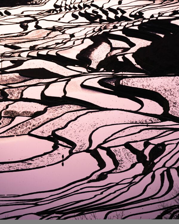 Снимок Yuanyang Rice Terraces фотографа Eric Ho, ставший финалистом в категории LANDSCAPES конкурса National Geographic Traveller Photography Competition 2020 - Sputnik Кыргызстан