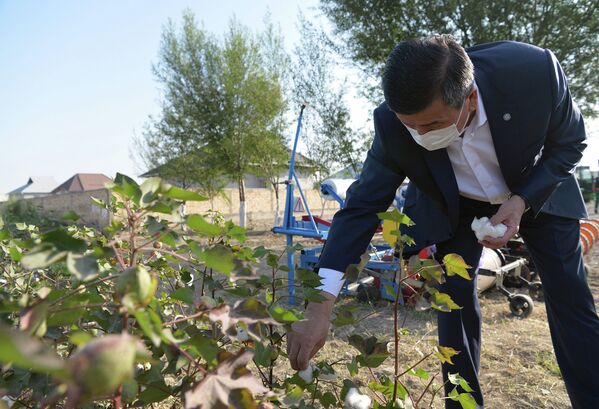 Деятельность производственно-семеноводческого кооператива Оомат агро в Кара-Суйском районе - Sputnik Кыргызстан