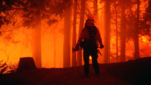 Сотрудник пожарных служб во время тушения лесного пожара в штате Калифорния - Sputnik Кыргызстан