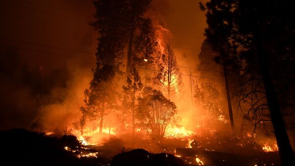 Лесной пожар в округе Сан-Диего американского штата Калифорния - Sputnik Кыргызстан