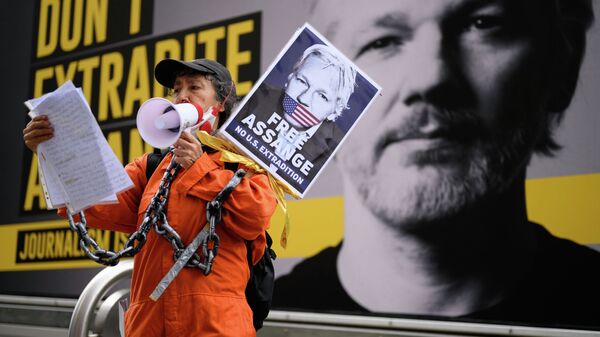 Акция протеста в поддержку основателя WikiLeaks Джулиана Ассанжа. Архивное фото - Sputnik Кыргызстан