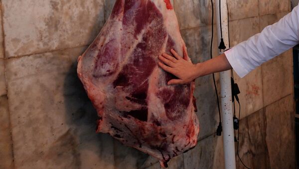 Проверка на вирус нодулярного дерматита крупно-рогатого скота - Sputnik Кыргызстан