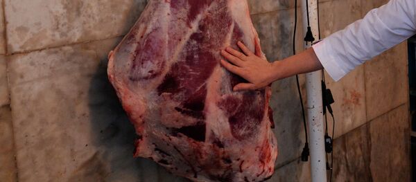 Проверка на вирус нодулярного дерматита крупно-рогатого скота Проверка на вирус нодулярного дерматита крупно-рогатого скота - Sputnik Кыргызстан