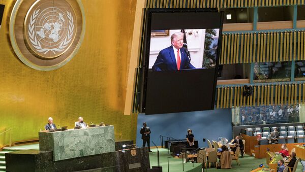 Президент США Дональд Трамп выступает на 75-й ежегодной Генеральной ассамблее ООН - Sputnik Кыргызстан