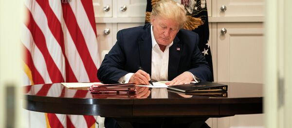 АКШнын учурдагы президенти Дональд Трамп. Архив - Sputnik Кыргызстан