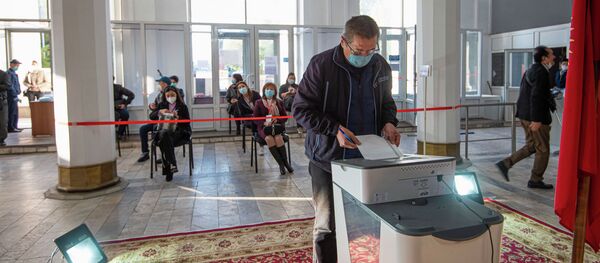 Добуш берип жаткан жаран. Архив - Sputnik Кыргызстан