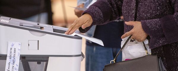 Добуш берип жаткан жаран. Архив - Sputnik Кыргызстан