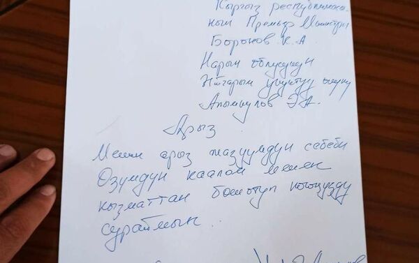 Заявление полномочного представителя Нарынской области - Sputnik Кыргызстан