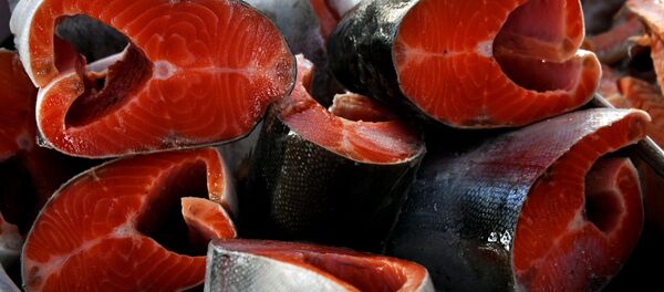 Лосось. Архив - Sputnik Кыргызстан