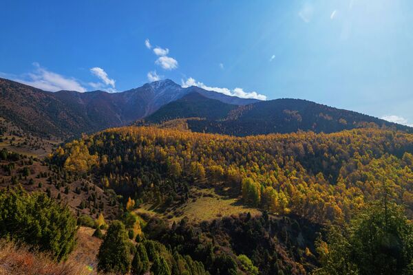 На протяжении всего пути вас будут окружать невероятные пейзажи - Sputnik Кыргызстан