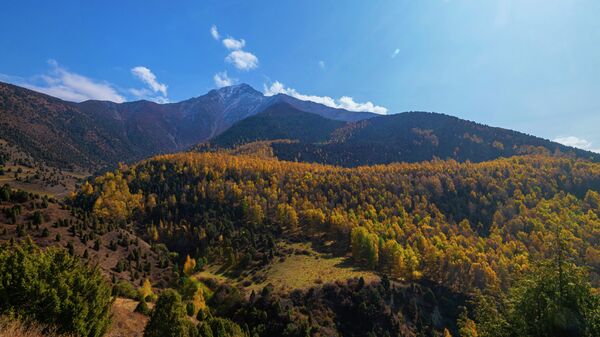 Осень в парке Ала-Арча - Sputnik Кыргызстан