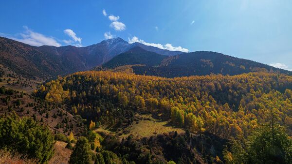 Осень в государственном природном парке Ала-Арча. Архивное фото - Sputnik Кыргызстан