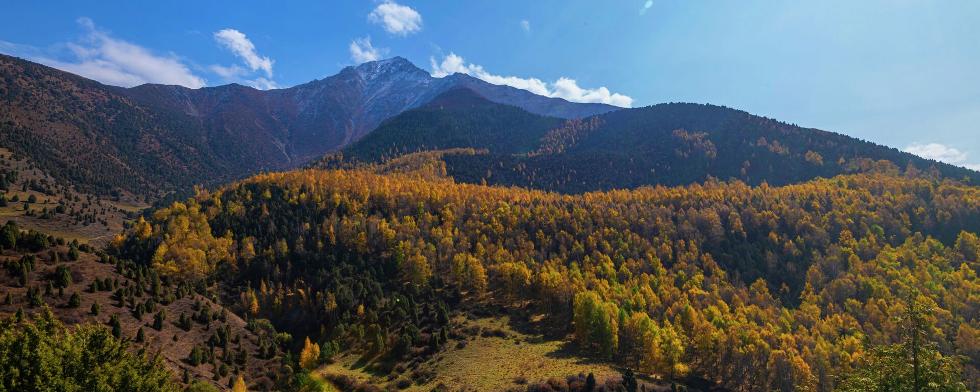 Ала-Арча паркындагы күз. Архив - Sputnik Кыргызстан, 1920, 21.08.2025