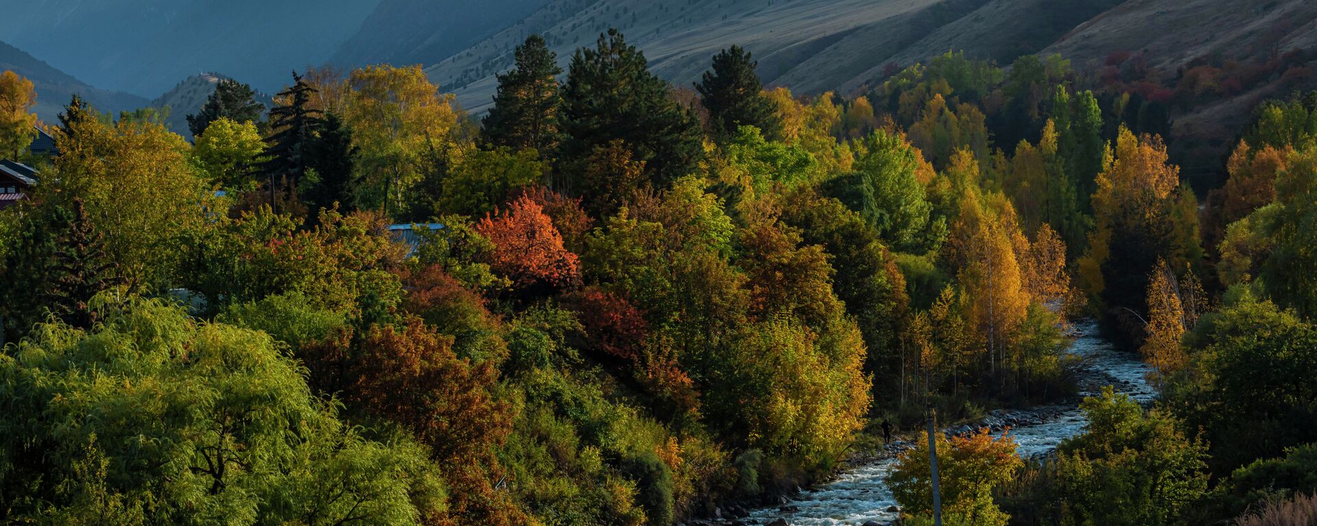 Осень в парке Ала-Арча - Sputnik Кыргызстан, 1920, 19.10.2025