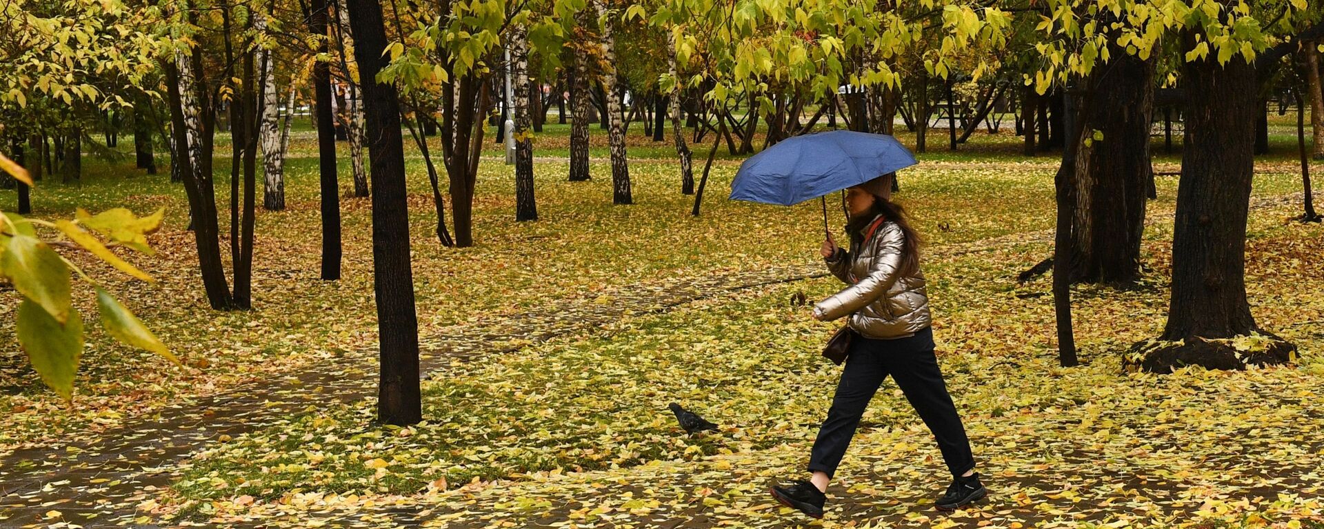 Девушка с зонтом идет по парку. Архивное фото - Sputnik Кыргызстан, 1920, 09.10.2022