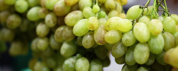 Жүзүм. Архив - Sputnik Кыргызстан