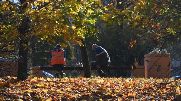 Сейил бактагы комуналдык кызматкерлери. Архив - Sputnik Кыргызстан