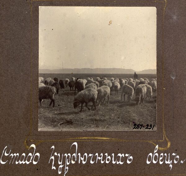 Уникальные кадры народов, населявших Восточный Туркестан в 1920-х годах - Sputnik Кыргызстан