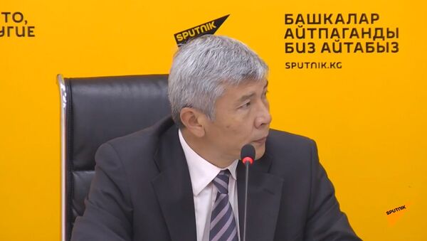 Пресс-конференция вице-премьер-министра КР Максата Мамытканова — прямой эфир - Sputnik Кыргызстан