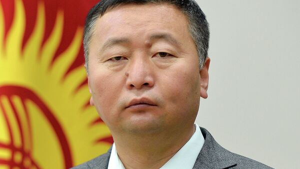 Президенттин маалымат кызматынын жетекчиси Нургазы Анаркулов  - Sputnik Кыргызстан