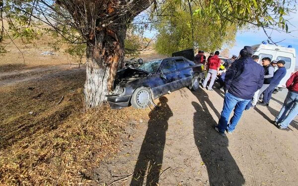 Авария произошла сегодня, 2 ноября, на трассе Балыкчи — Боконбаево — Каракол в районе села Оргочор - Sputnik Кыргызстан