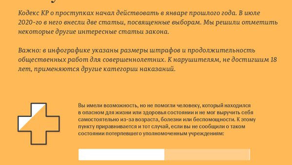 Штрафы за проступки, о которых кыргызстанцы могут не знать  - Sputnik Кыргызстан