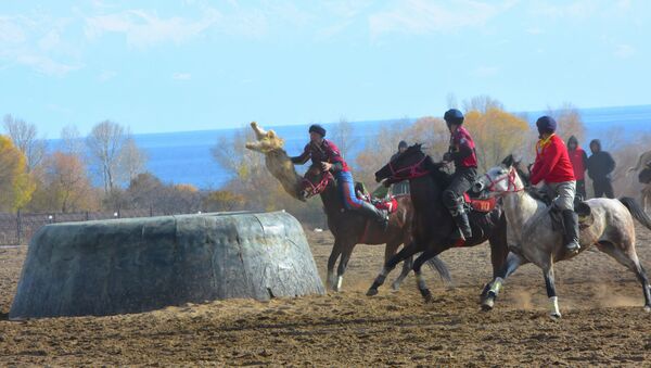 Кубок президента КР по кок бору в городе Чолпон-Ата - Sputnik Кыргызстан
