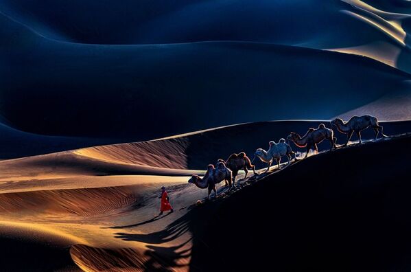 Снимок Return китайского фотографа Yunhua Yu, отмеченный в категории Journeys & Adventures конкурса Siena International Photo Awards 2020 - Sputnik Кыргызстан