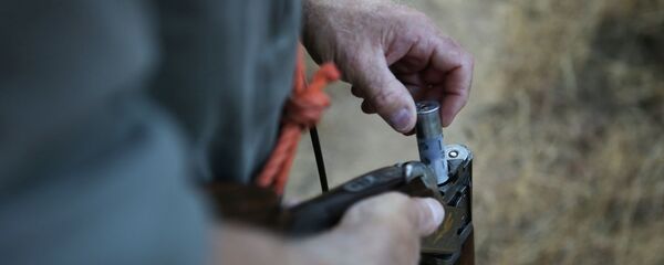 Запрет на охоту кабана в Пьетрозелле  - Sputnik Кыргызстан