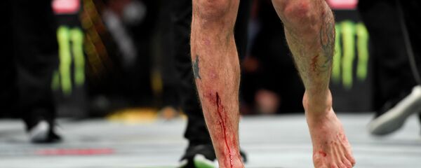  UFC мушкери. Архив - Sputnik Кыргызстан