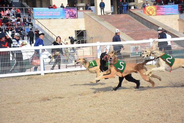 Жаа атып, куш салып... Салбуурун мелдешинин жеңүүчүлөрү аныкталды - Sputnik Кыргызстан