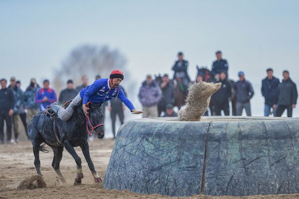 Финал Кубка президента по кок-бору в Чолпон-Ате - Sputnik Кыргызстан