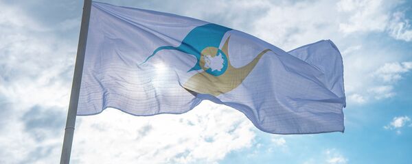 Флаг с символикой Евразийского экономического союза (ЕАЭС). Архивное фото Флаг с символикой Евразийского экономического союза (ЕАЭС). Архивное фото - Sputnik Кыргызстан