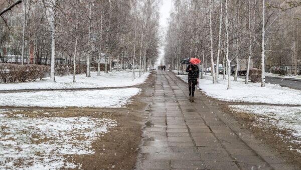 Мужчина с зонтом идет по улице во время снегопада. Архивное фото - Sputnik Кыргызстан