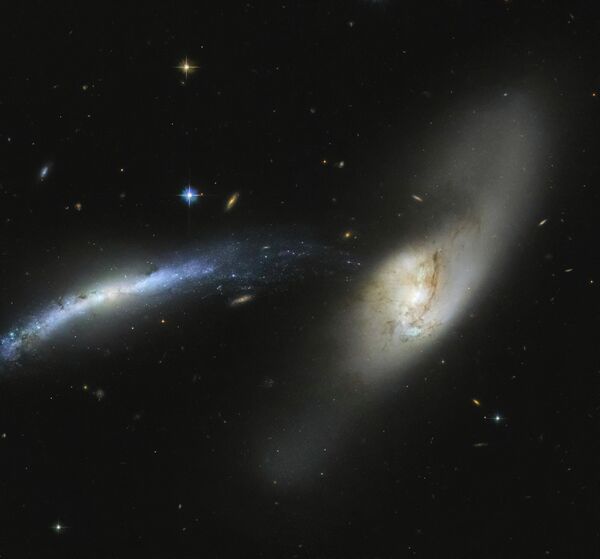 Хаббл космостук телескобу менен тартылган Lynx топ жылдызындагы NGC 2799 галактикасы - Sputnik Кыргызстан